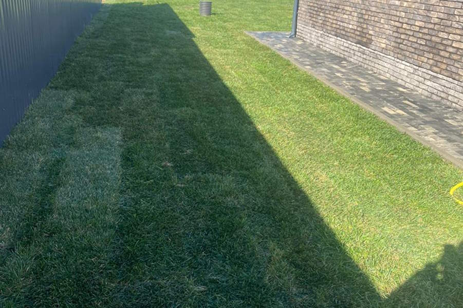 Укладка газона